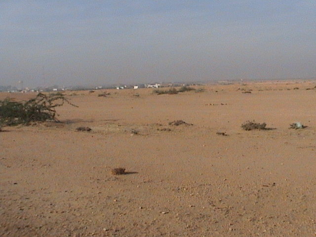bikaner