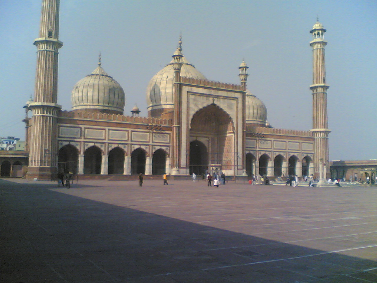 delhi