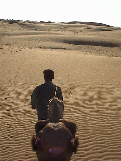 desert