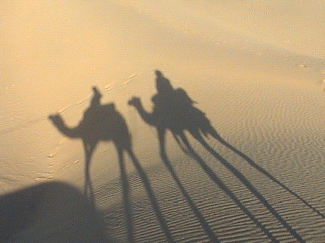 desert