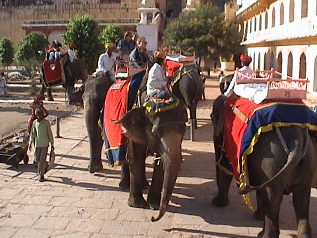 Jaipur