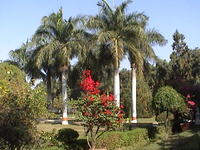 udaipur